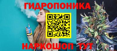 крисы Бийск