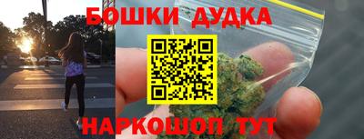 крисы Бийск