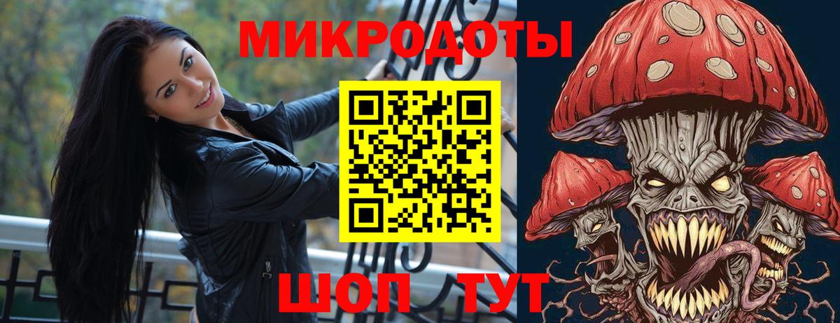 Псилоцибиновые грибы Psilocybe Ижевск