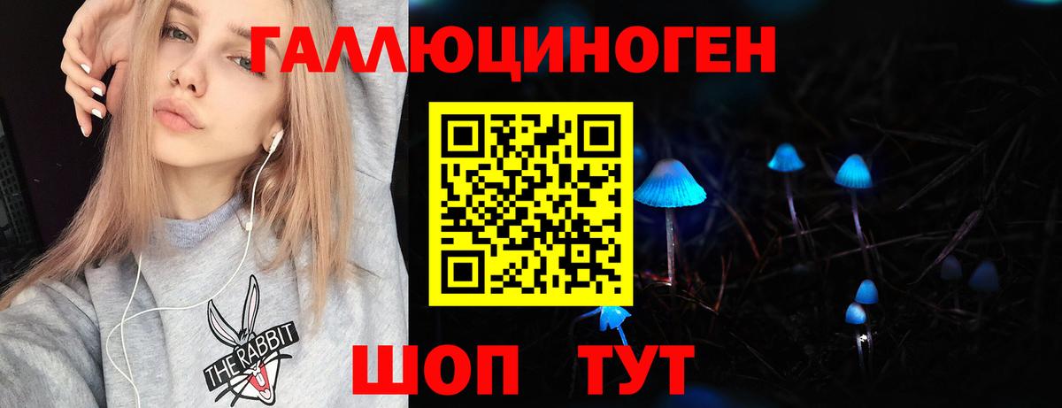 Псилоцибиновые грибы GOLDEN TEACHER  Вход с VPN  Галлюциногенные грибы GOLDEN TEACHER  закладка  Ижевск 